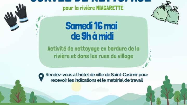 CORVÉE de nettoyage