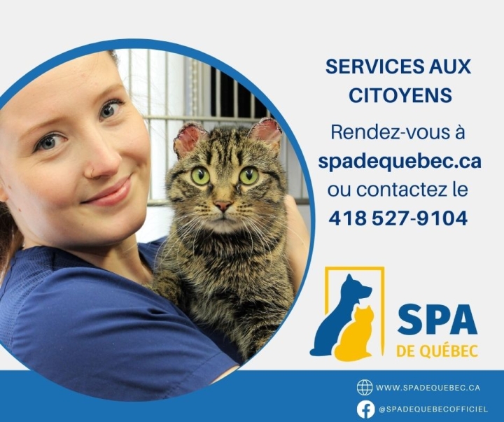 Nouveau service SPA à Saint-Casimir
